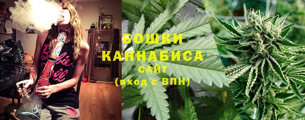 гидра Армянск