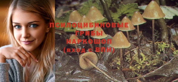гидра Армянск