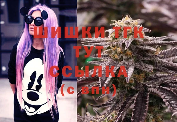 спиды Аркадак