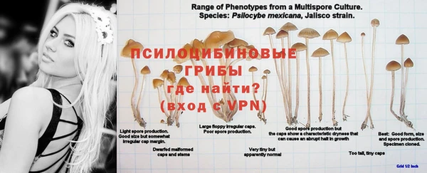 кокс Арсеньев