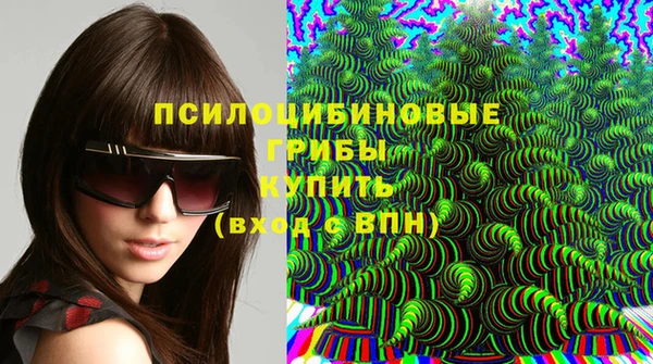 кокс Арсеньев